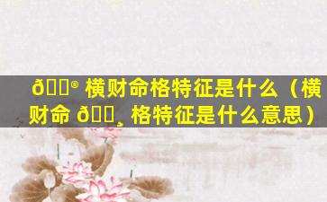 💮 横财命格特征是什么（横财命 🕸 格特征是什么意思）